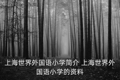 上海世界外國語小學簡介 上海世界外國語小學的資料