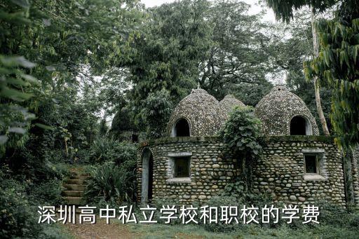 學(xué)校學(xué)費深圳，深圳的中學(xué)小學(xué)一學(xué)期學(xué)費差不多都是多少