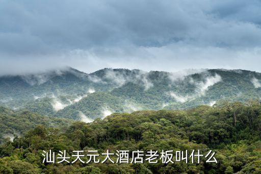 汕頭天元大酒店老板叫什么