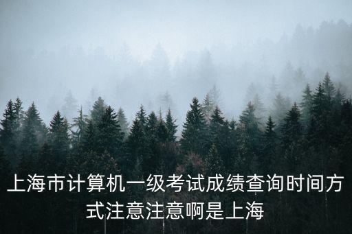 上海市計(jì)算機(jī)一級(jí)考試成績(jī)查詢時(shí)間方式注意注意啊是上海