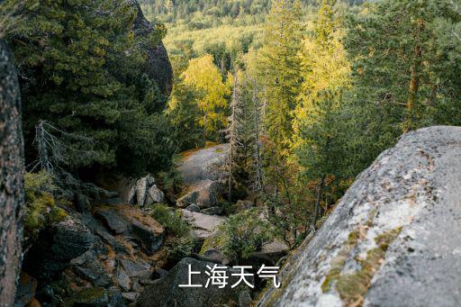 上海天氣