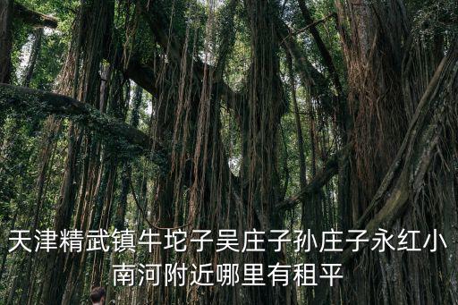 天津精武鎮(zhèn)牛坨子吳莊子孫莊子永紅小南河附近哪里有租平