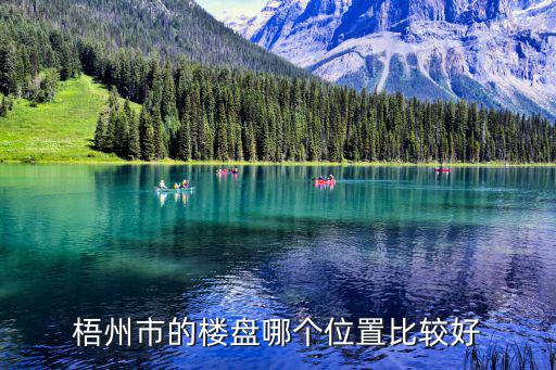 梧州市的樓盤哪個位置比較好