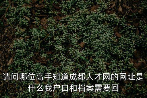 成都市人才公共服務平臺官網，成都人才市場