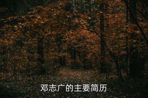 鄧志廣的主要簡(jiǎn)歷