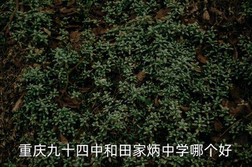 重慶市田家炳中學采購，重慶田家炳學校高中情況