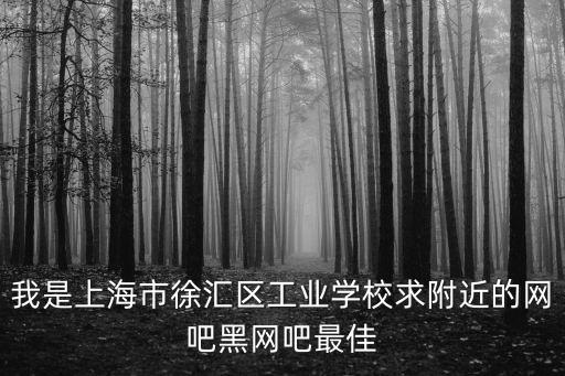 我是上海市徐匯區(qū)工業(yè)學(xué)校求附近的網(wǎng)吧黑網(wǎng)吧最佳