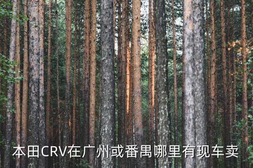 本田CRV在廣州或番禺哪里有現車賣