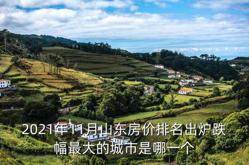 2021年11月山東房價排名出爐跌幅最大的城市是哪一個