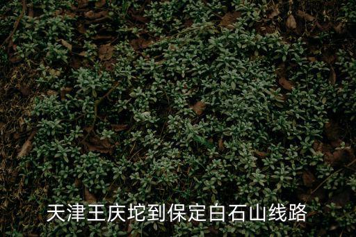 天津市離白石山多遠(yuǎn)，天津到河北省萊源白石山玻璃道景區(qū)多少公里