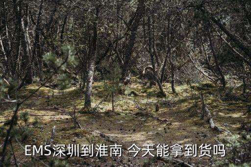 EMS深圳到淮南 今天能拿到貨嗎