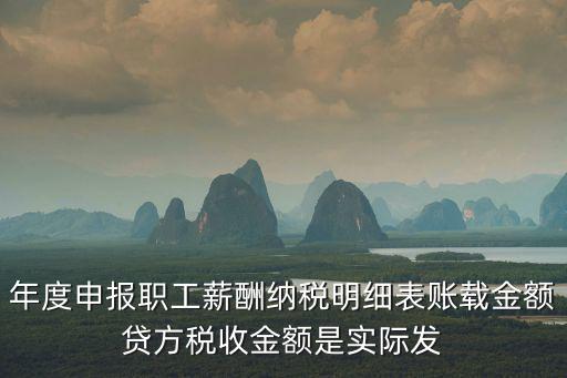 年度申報(bào)職工薪酬納稅明細(xì)表賬載金額貸方稅收金額是實(shí)際發(fā)
