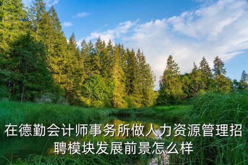 在德勤會(huì)計(jì)師事務(wù)所做人力資源管理招聘模塊發(fā)展前景怎么樣