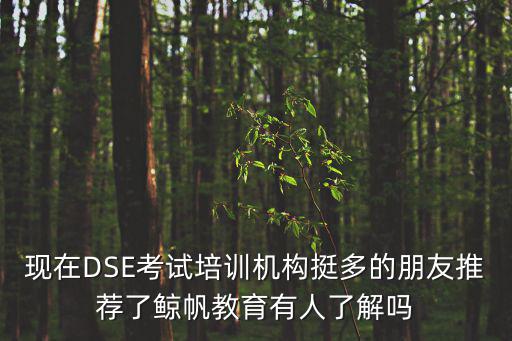 深圳鯨帆教育學(xué)費(fèi)，深圳一對(duì)一教育機(jī)構(gòu)收費(fèi)都是怎樣的