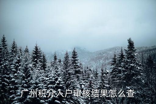 廣州積分入戶審核結果怎么查