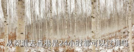 從深圳去香港是24小時都可以過境嗎