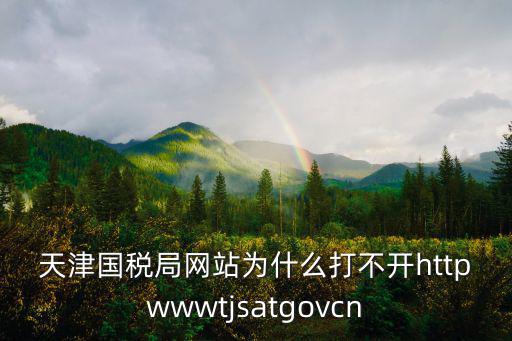 天津國稅局網站為什么打不開httpwwwtjsatgovcn