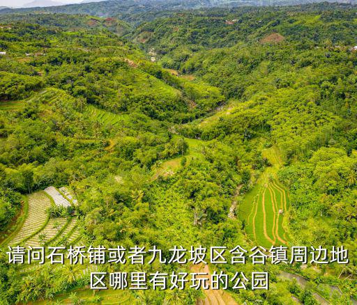 請問石橋鋪或者九龍坡區含谷鎮周邊地區哪里有好玩的公園