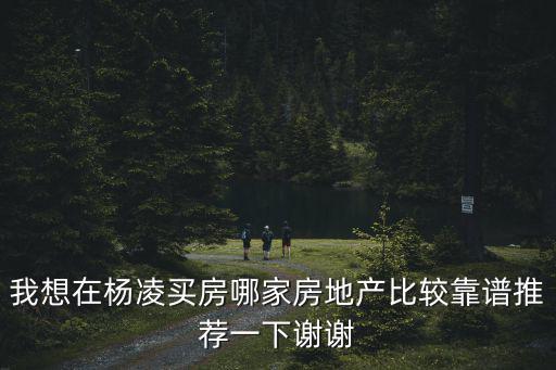 我想在楊凌買房哪家房地產(chǎn)比較靠譜推薦一下謝謝