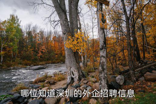 哪位知道深圳的外企招聘信息