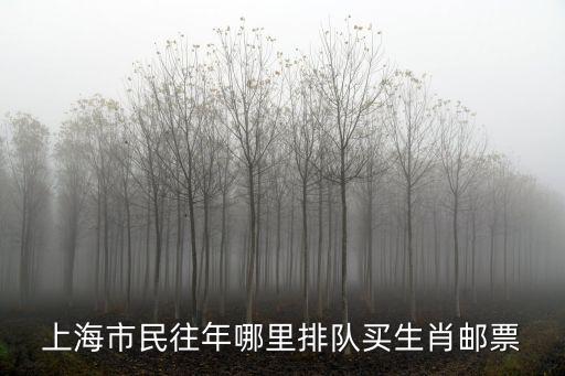 上海市民往年哪里排隊買生肖郵票