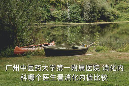廣州中醫藥大學第一附屬醫院 消化內科哪個醫生看消化內褲比較
