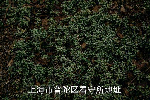 上海市普陀區看守所地址