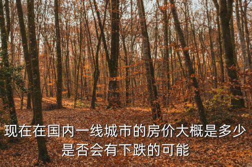 現在在國內一線城市的房價大概是多少是否會有下跌的可能