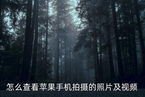怎么查看蘋果手機拍攝的照片及視頻
