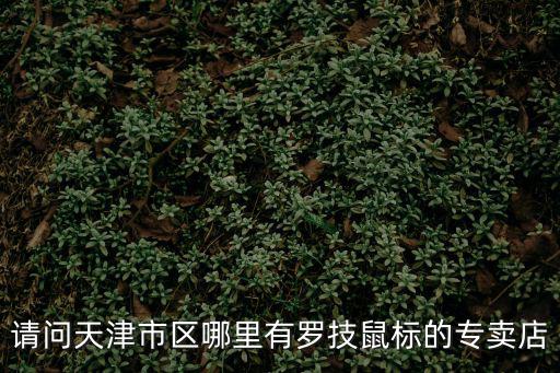 請問天津市區哪里有羅技鼠標的專賣店
