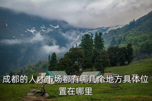 成都的人才市場都有哪幾個地方具體位置在哪里