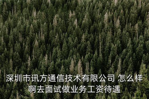 深圳市訊方通信技術有限公司 怎么樣啊去面試做業務工資待遇