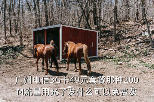 廣州電信3G卡49元套餐那種200M流量用光了發(fā)什么可以免費(fèi)獲