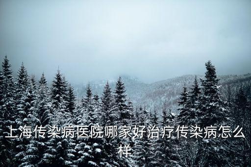 上海傳染病醫院哪家好治療傳染病怎么樣
