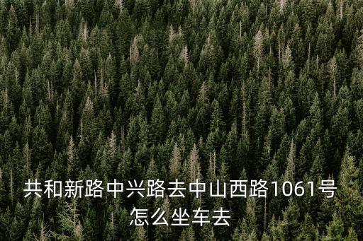 共和新路中興路去中山西路1061號怎么坐車去