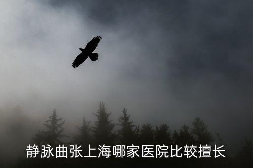 靜脈曲張上海哪家醫(yī)院比較擅長