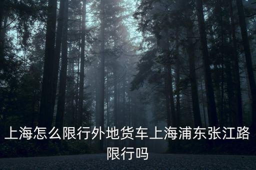 上海怎么限行外地貨車上海浦東張江路限行嗎