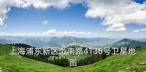上海浦東新區上南路4136號衛星地圖