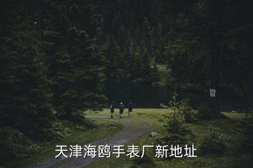 天津海鷗手表廠新地址