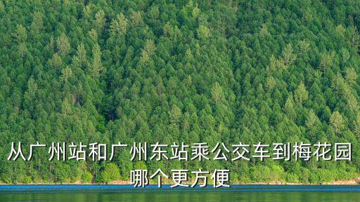 從廣州站和廣州東站乘公交車到梅花園哪個更方便