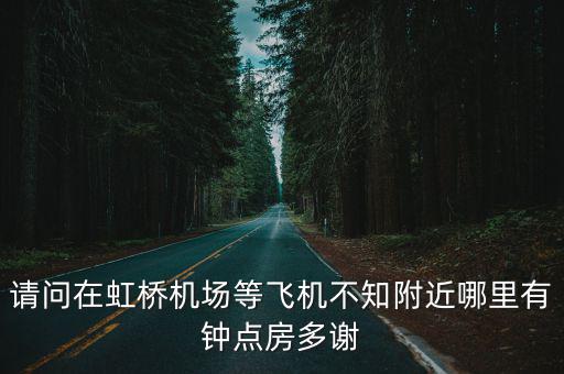 請問在虹橋機場等飛機不知附近哪里有鐘點房多謝