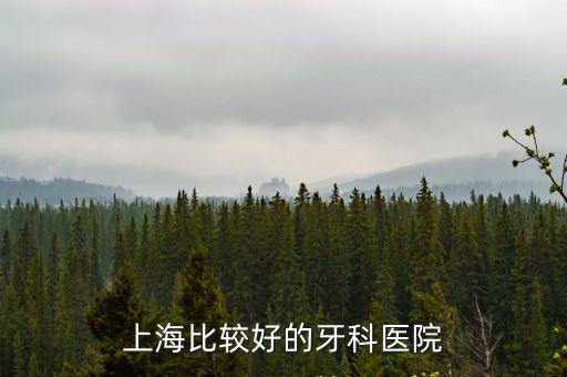 上海比較好的牙科醫(yī)院