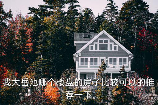 我大岳池哪個樓盤的房子比較可以的推薦一下