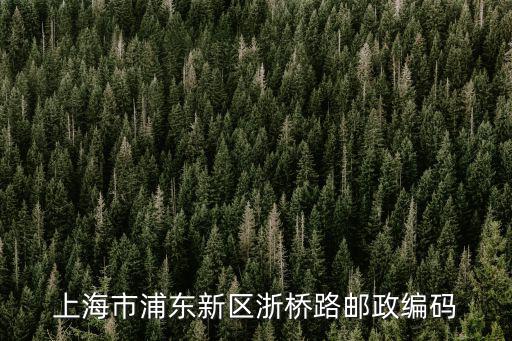 上海市浦東新區(qū)浙橋路郵政編碼