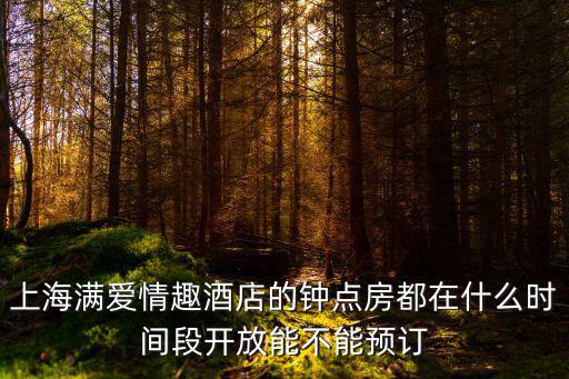 上海市第六人民醫(yī)院附近賓館鐘點房，請問在虹橋機(jī)場等飛機(jī)不知附近哪里有鐘點房多謝