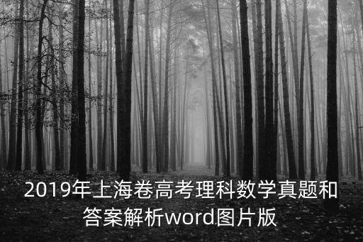 上海市2019屆高三數學一模試題，2019年上海卷高考理科數學真題和答案解析word圖片版