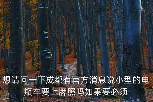 想請問一下成都有官方消息說小型的電瓶車要上牌照嗎如果要必須