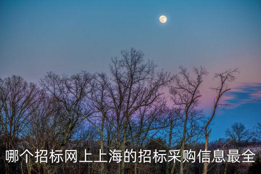 哪個招標網上上海的招標采購信息最全