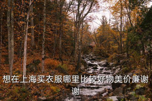 想在上海買衣服哪里比較好物美價(jià)廉謝謝