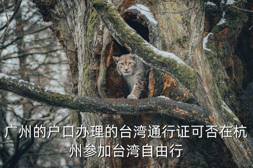 廣州的戶口辦理的臺灣通行證可否在杭州參加臺灣自由行